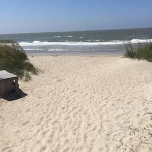 Meet your Posher, Joy